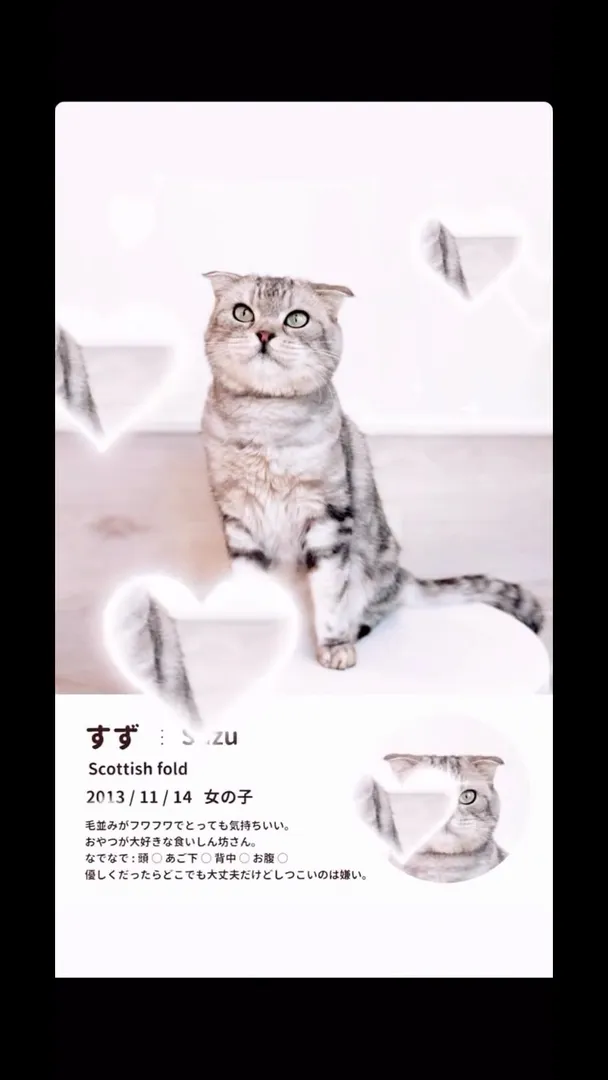投稿の写真