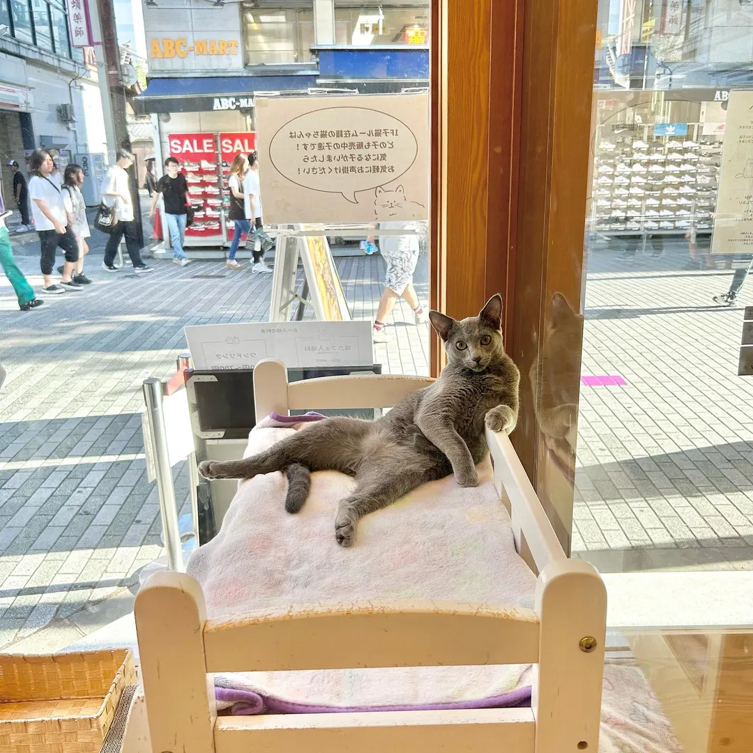 投稿の写真1
