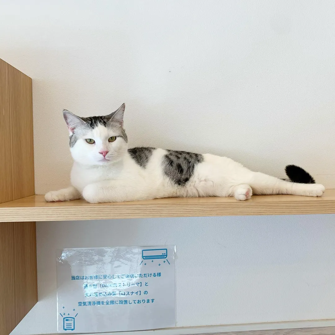 投稿の写真4