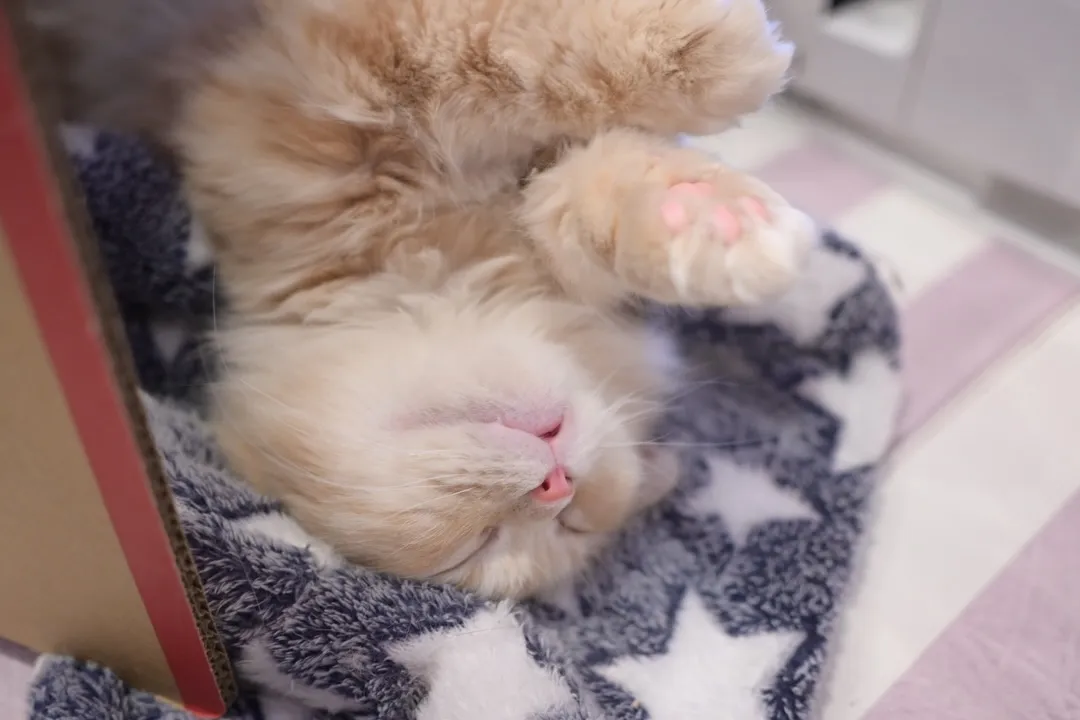 投稿の写真2