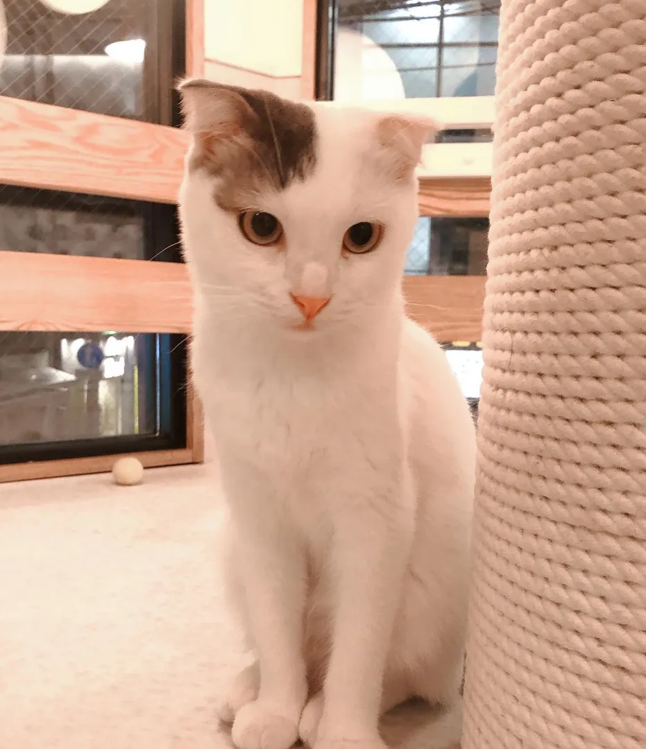 投稿の写真6