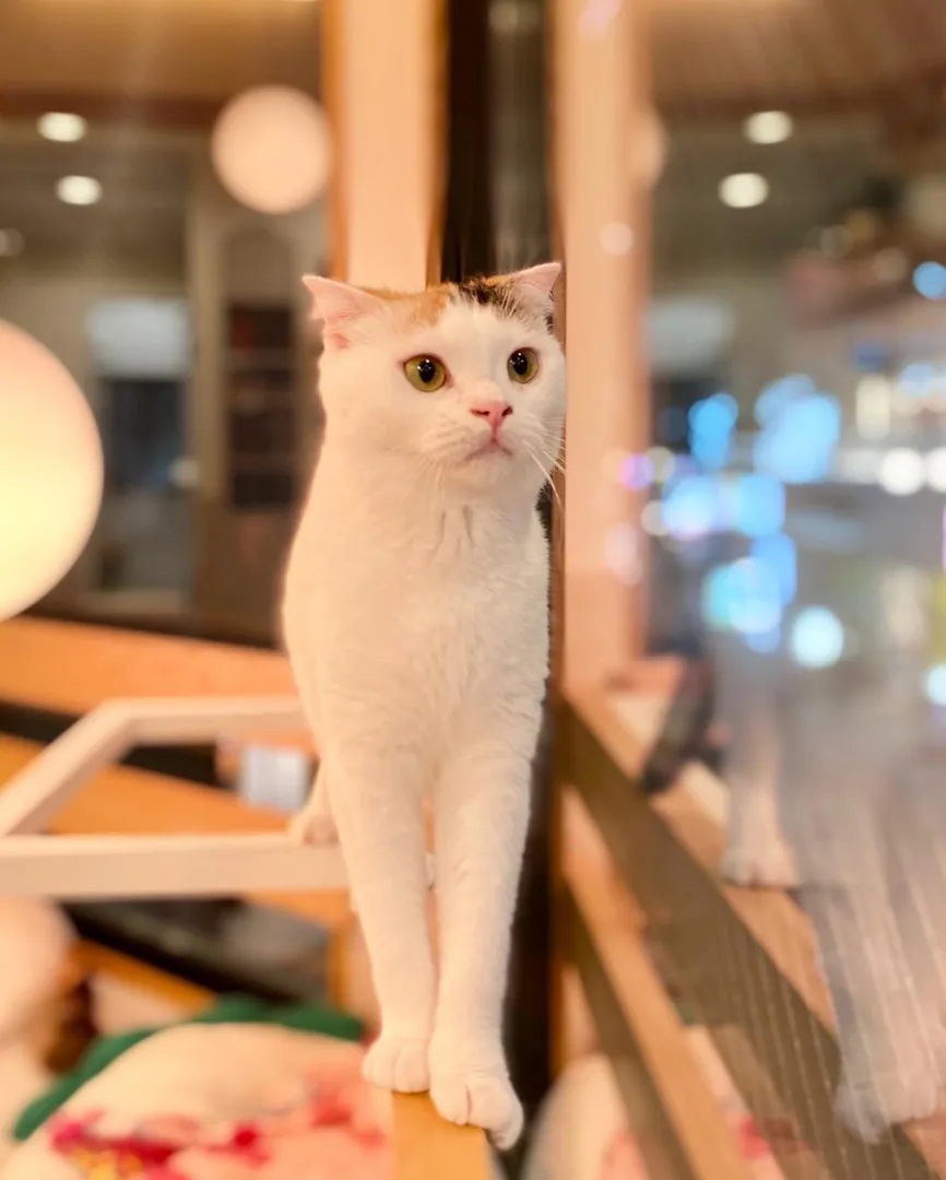 投稿の写真2