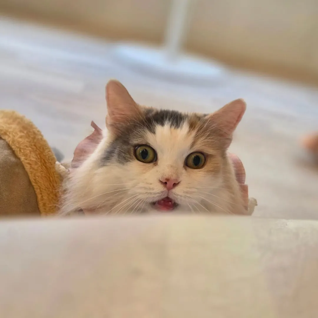 投稿の写真2