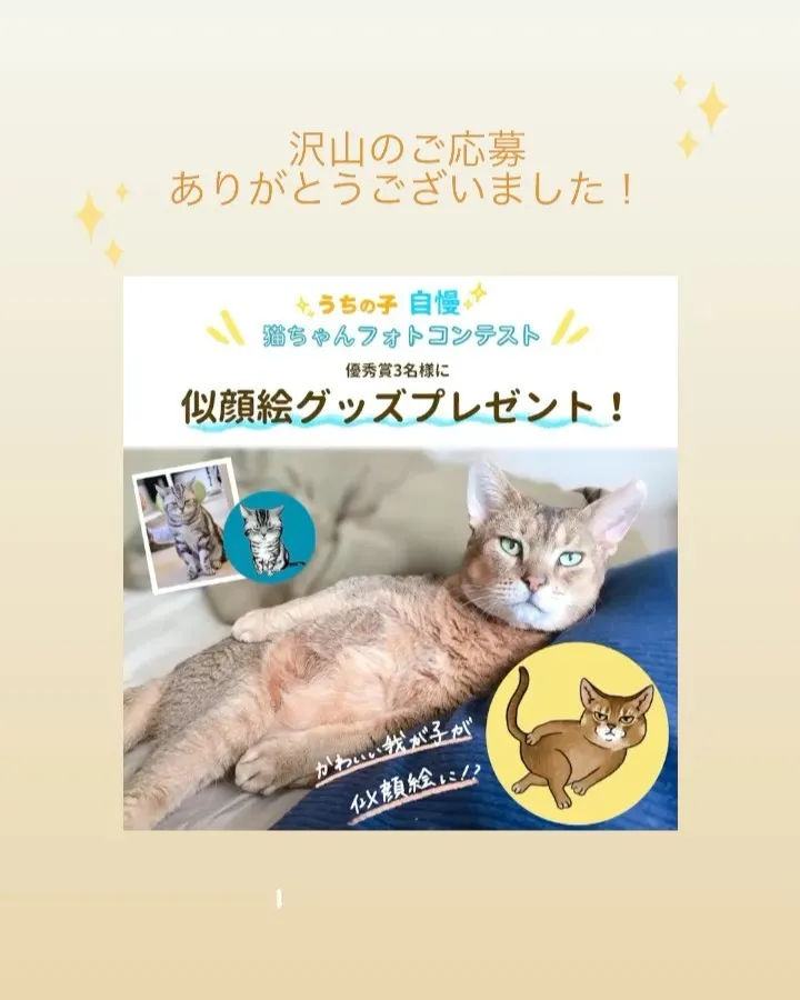 投稿の写真