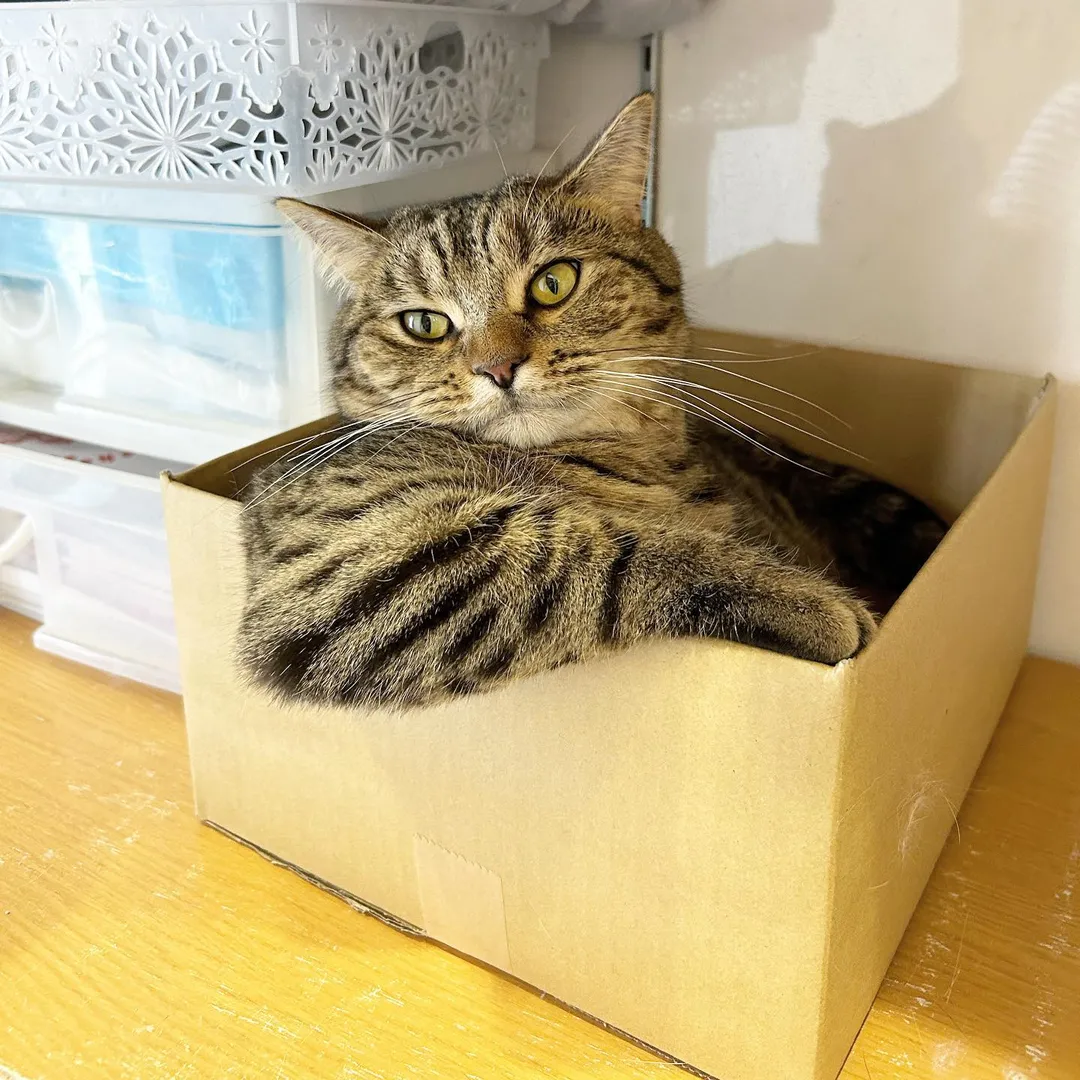 投稿の写真2