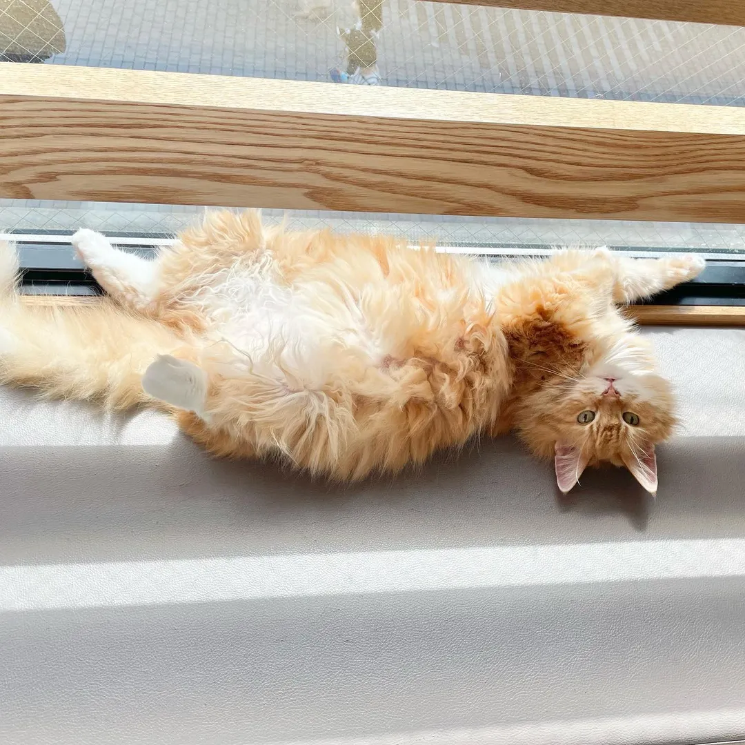 投稿の写真2