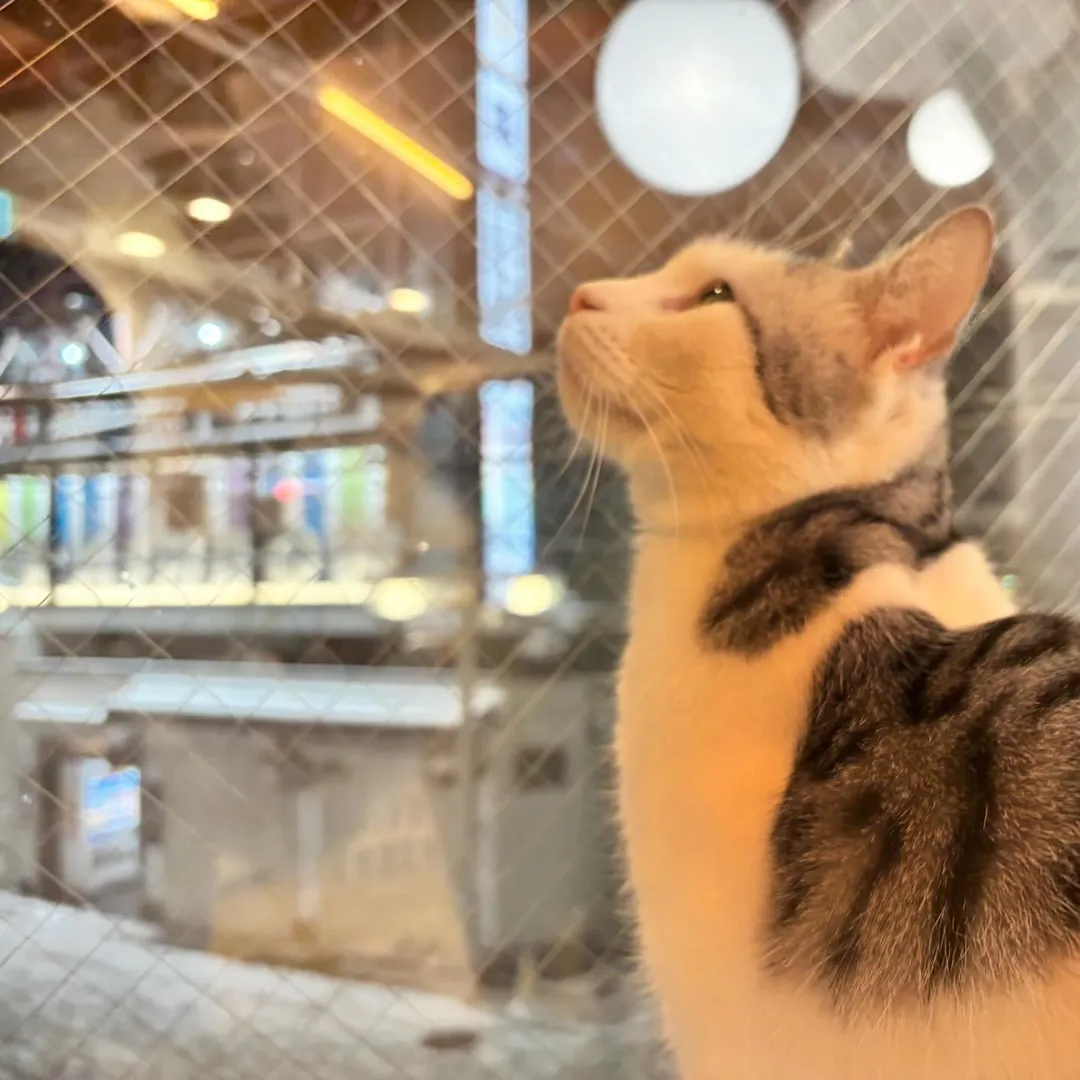 投稿の写真2