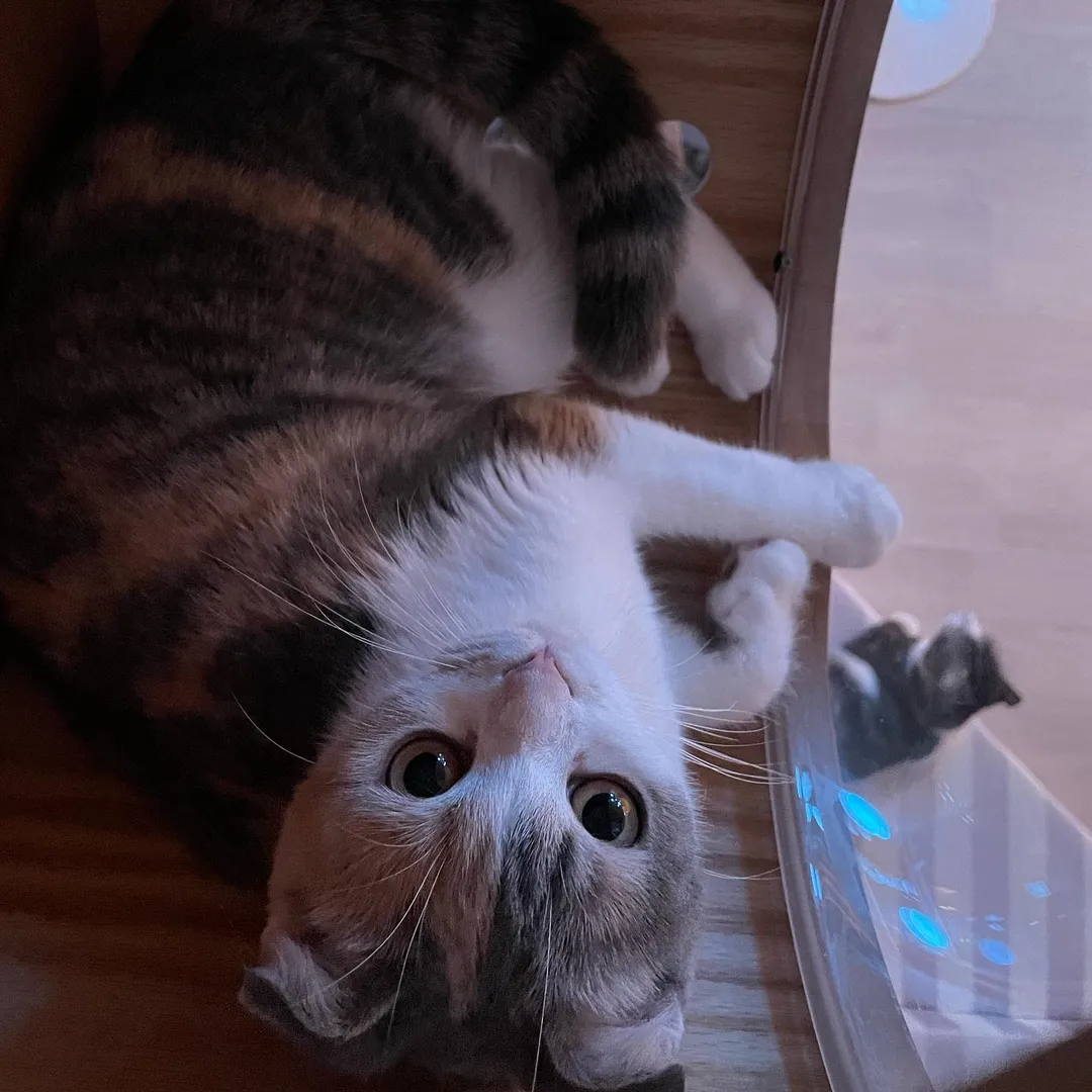 投稿の写真2