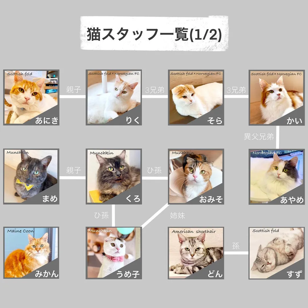 投稿の写真3