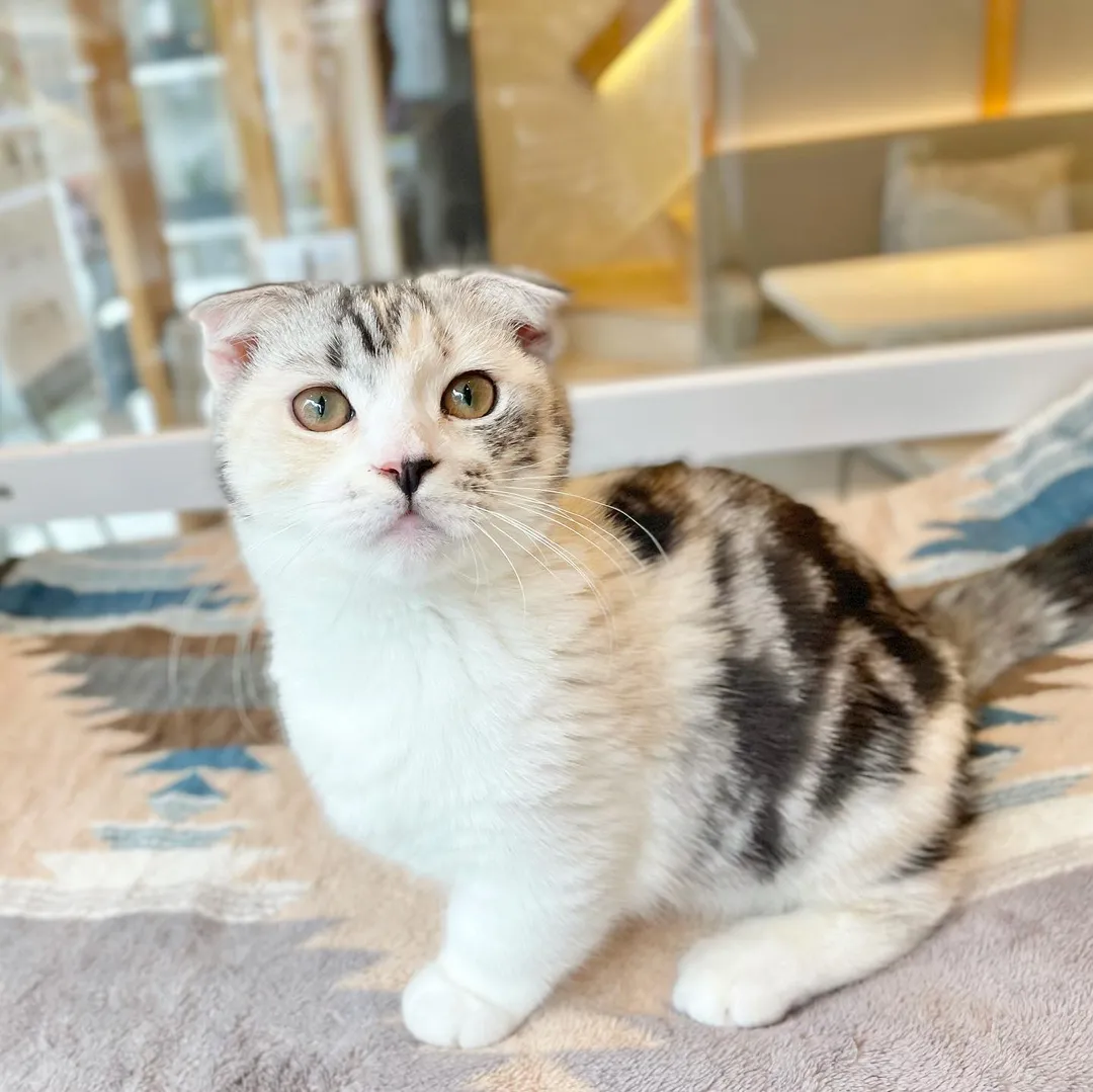 投稿の写真3