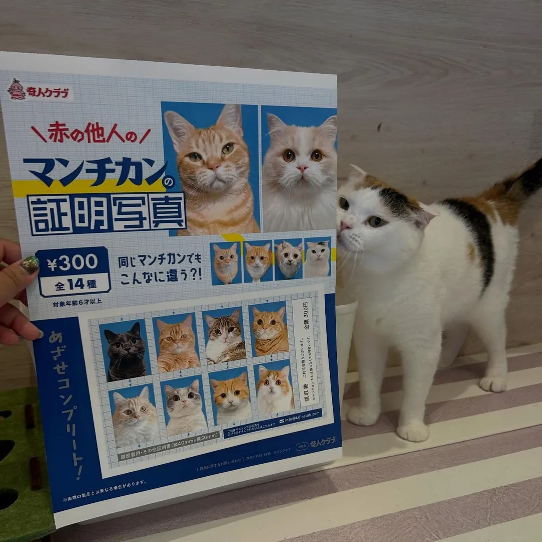 投稿の写真1