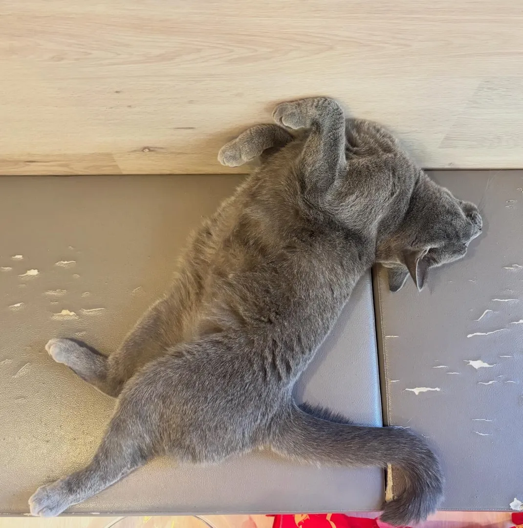 投稿の写真2