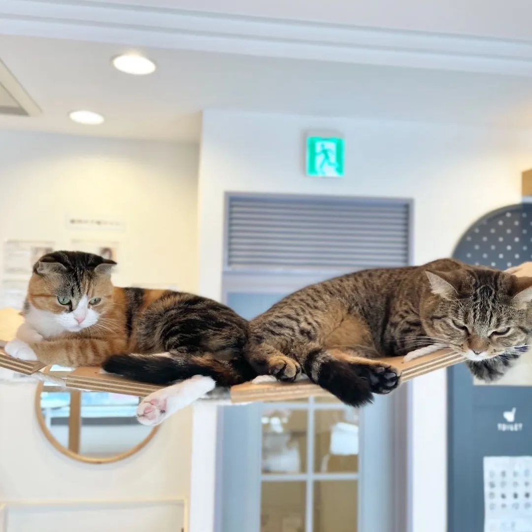 投稿の写真3
