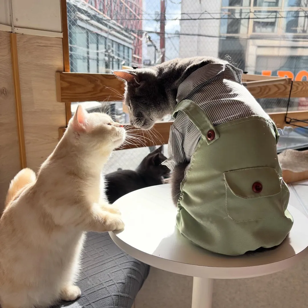 投稿の写真3