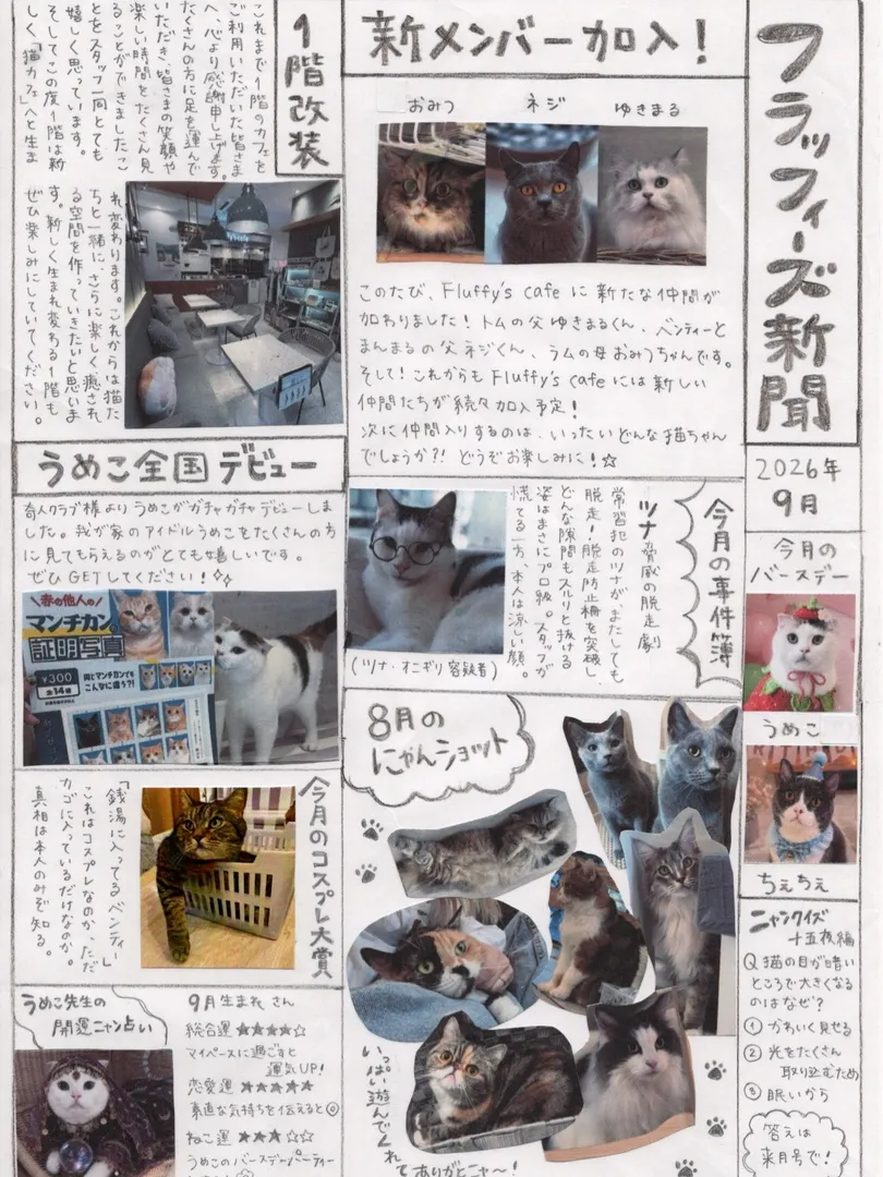 投稿の写真