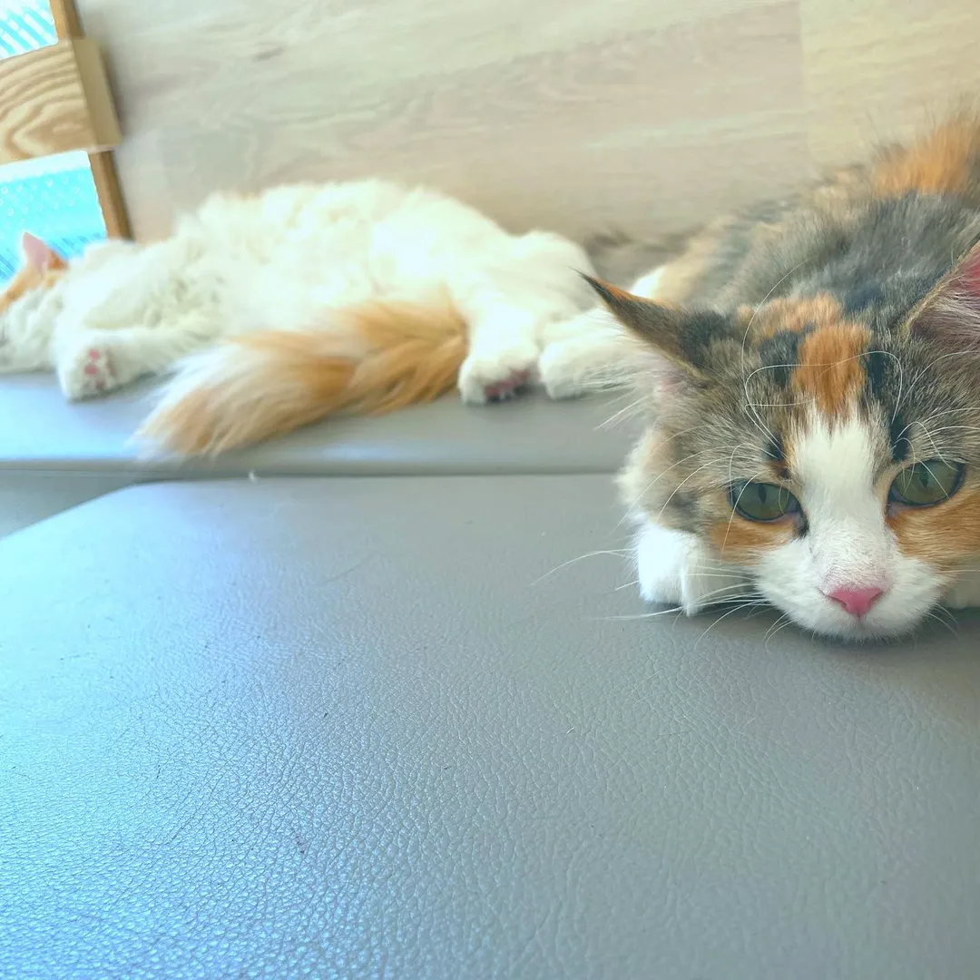 投稿の写真2