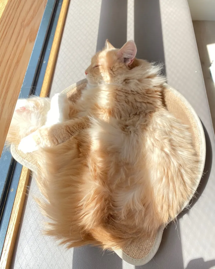投稿の写真