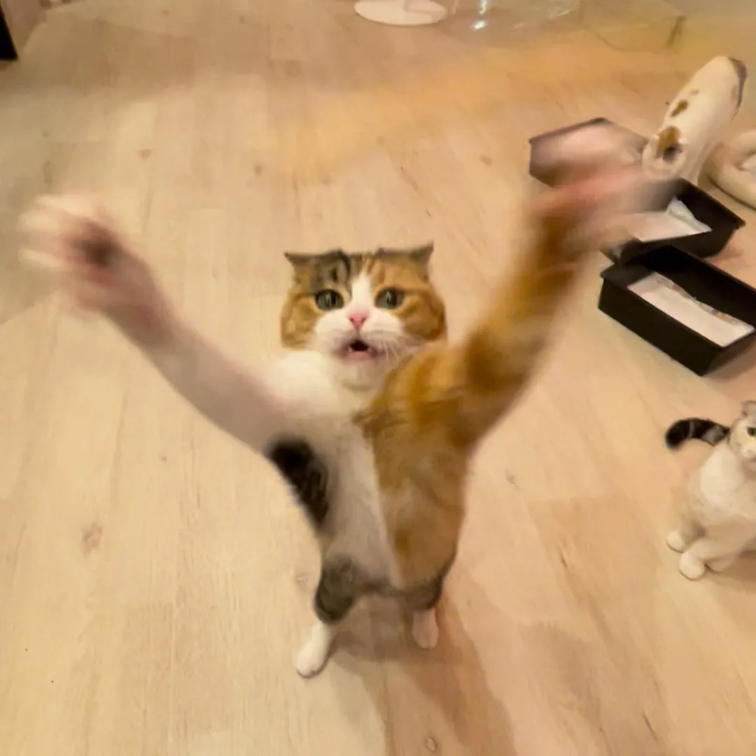 投稿の写真1