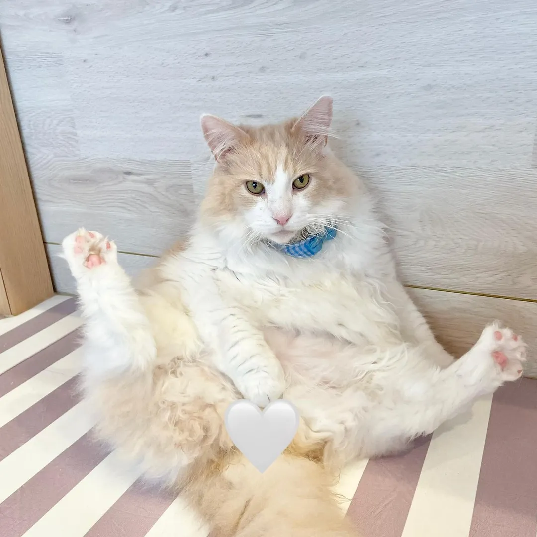 投稿の写真2