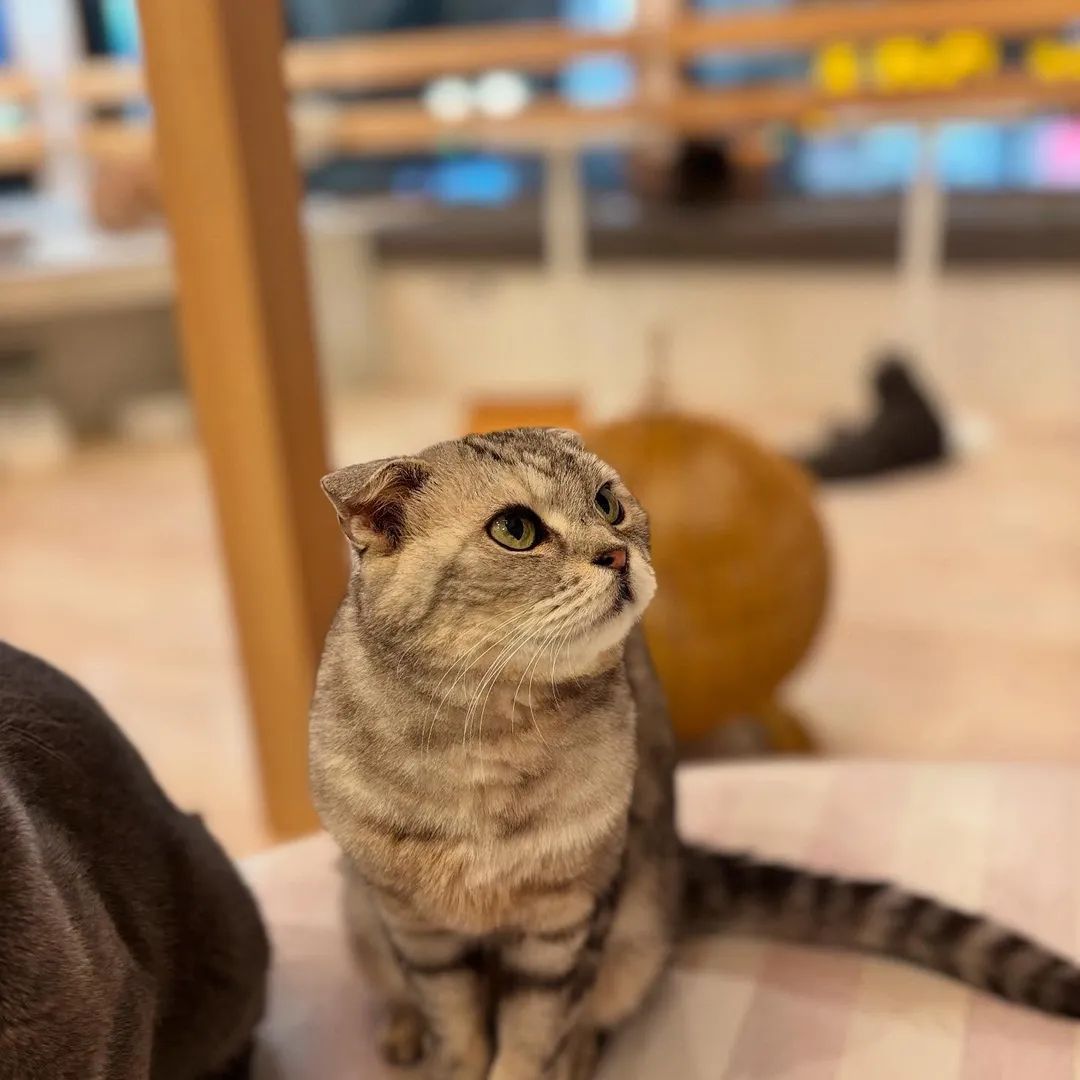 投稿の写真2