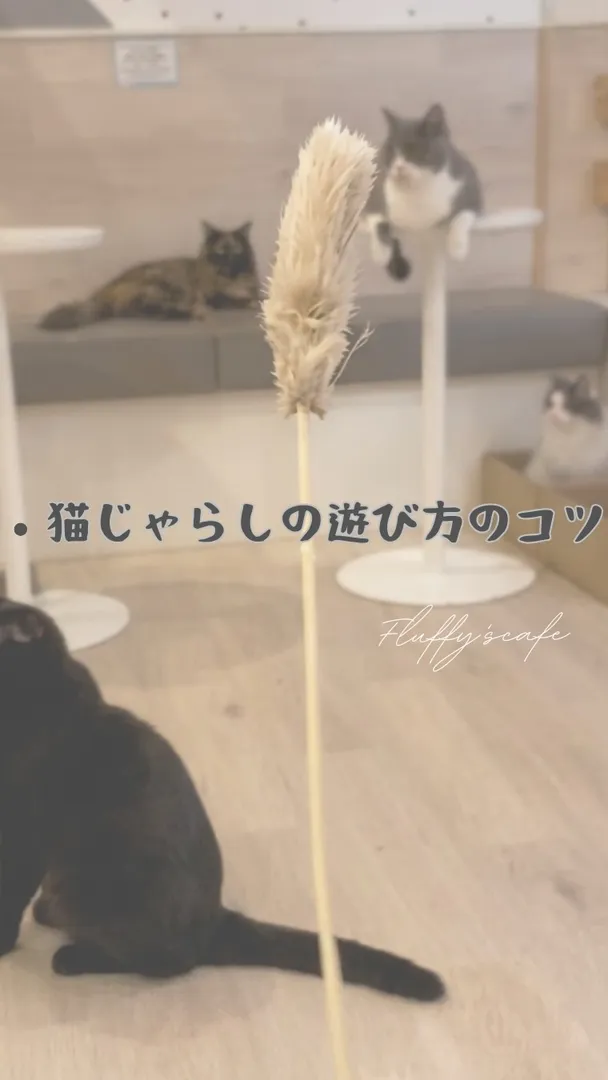 投稿の写真