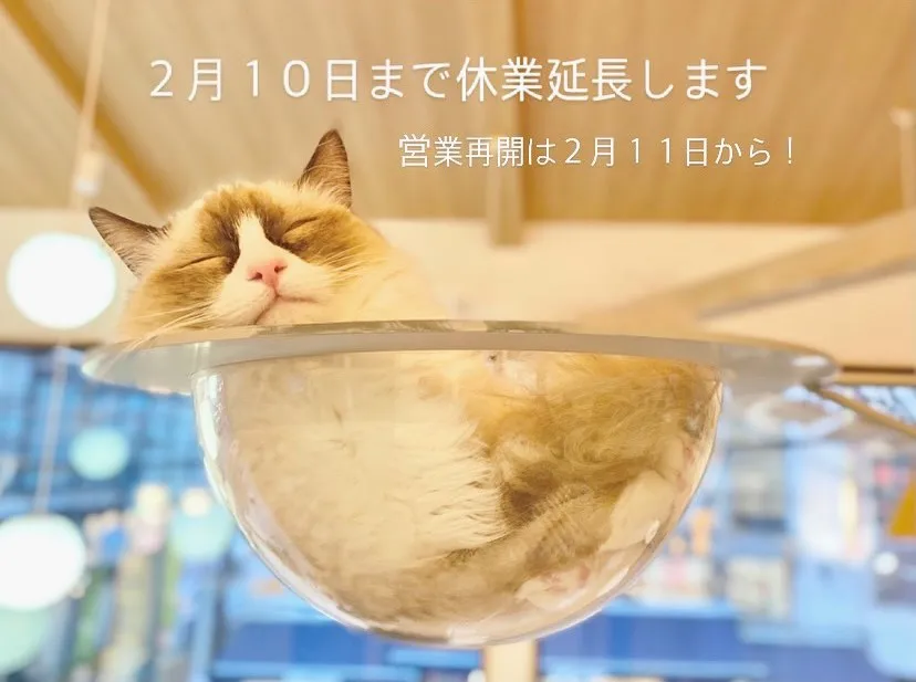投稿の写真