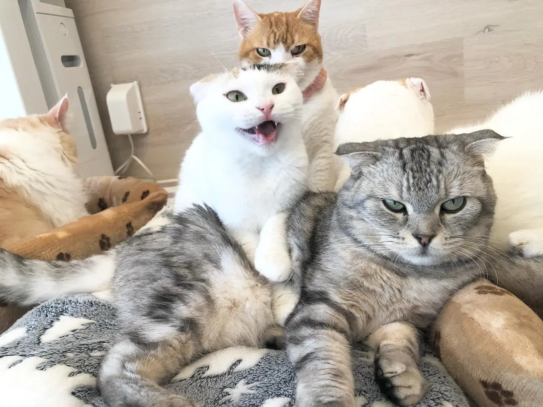 投稿の写真5