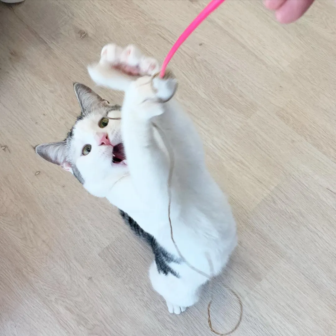 投稿の写真8