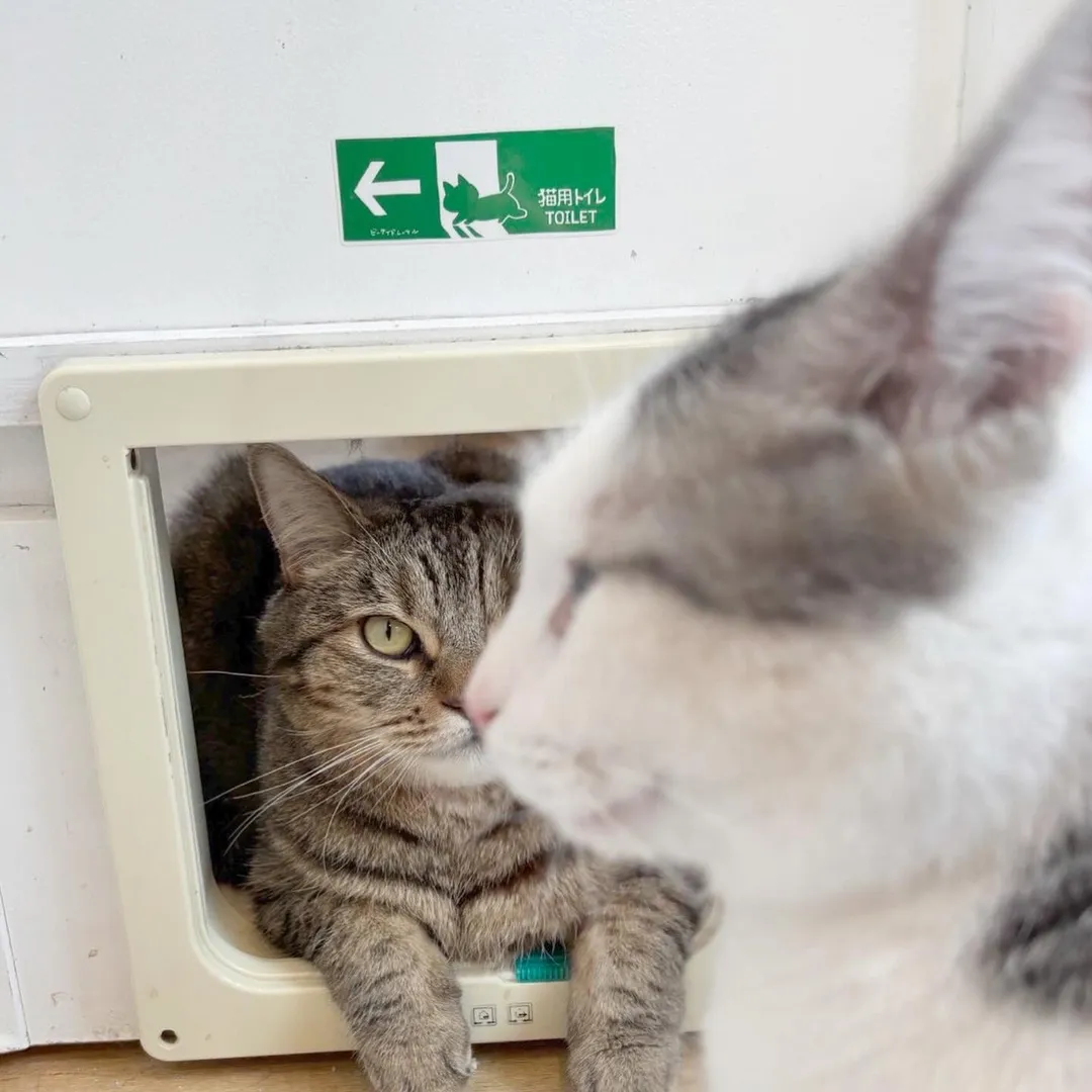 投稿の写真3