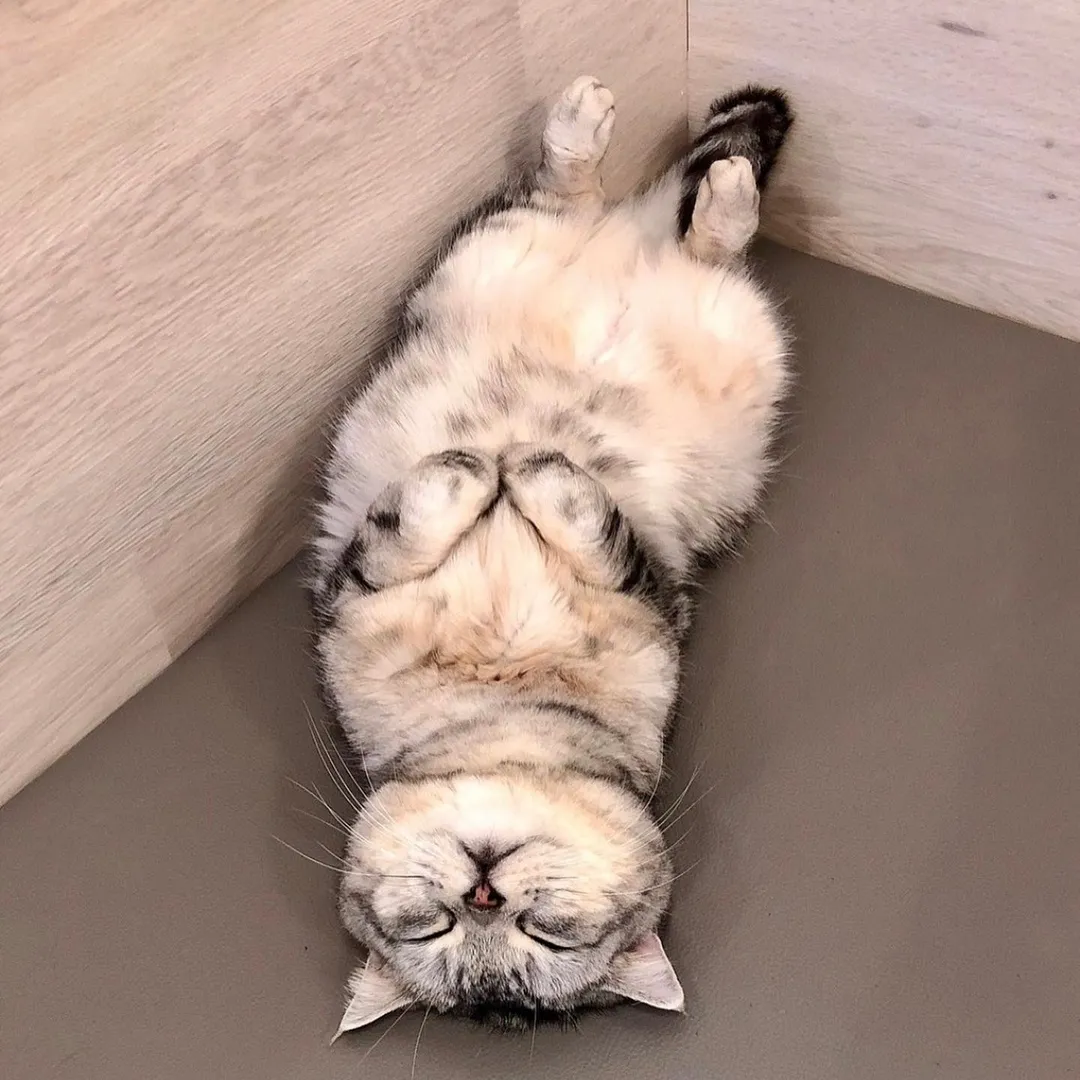 投稿の写真3