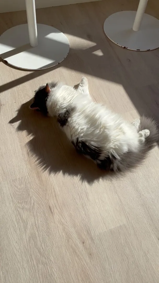 投稿の写真
