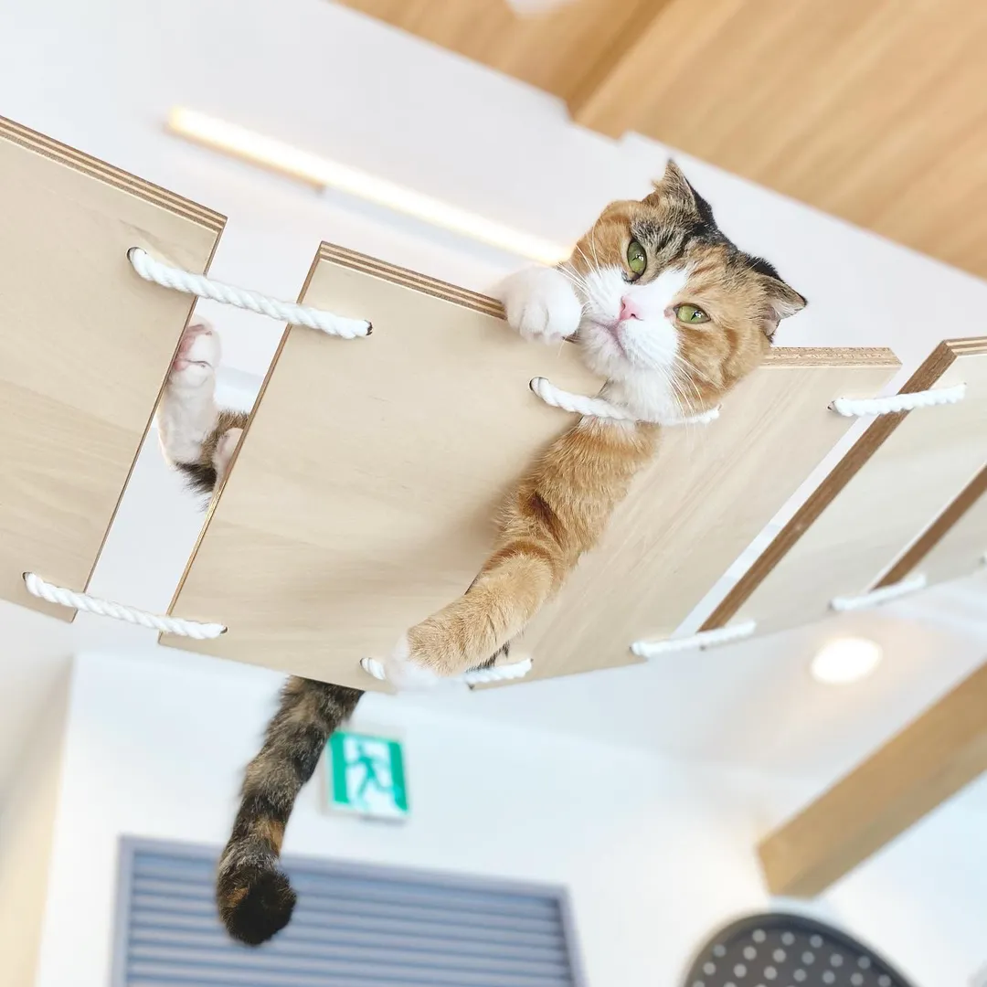 投稿の写真1