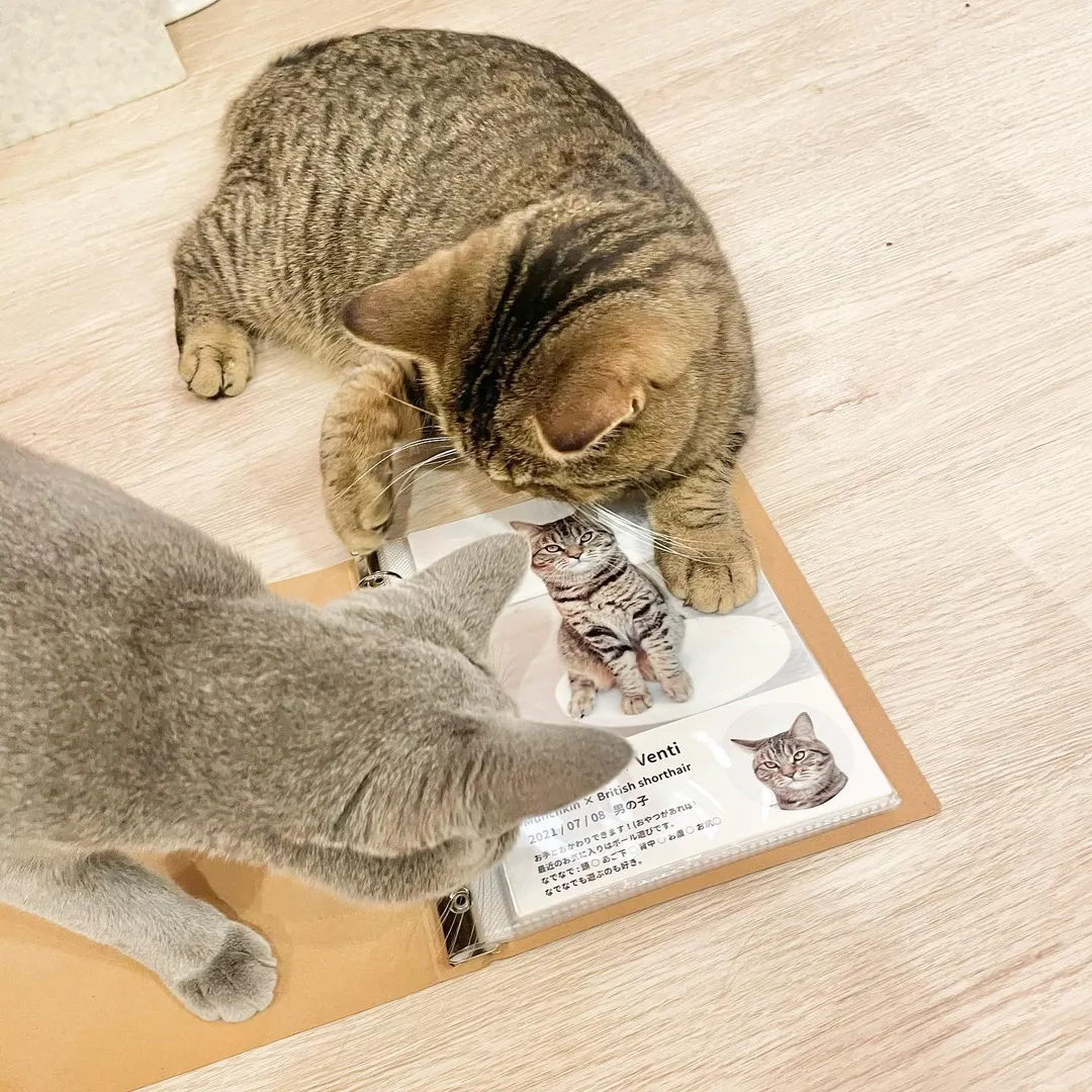 投稿の写真3