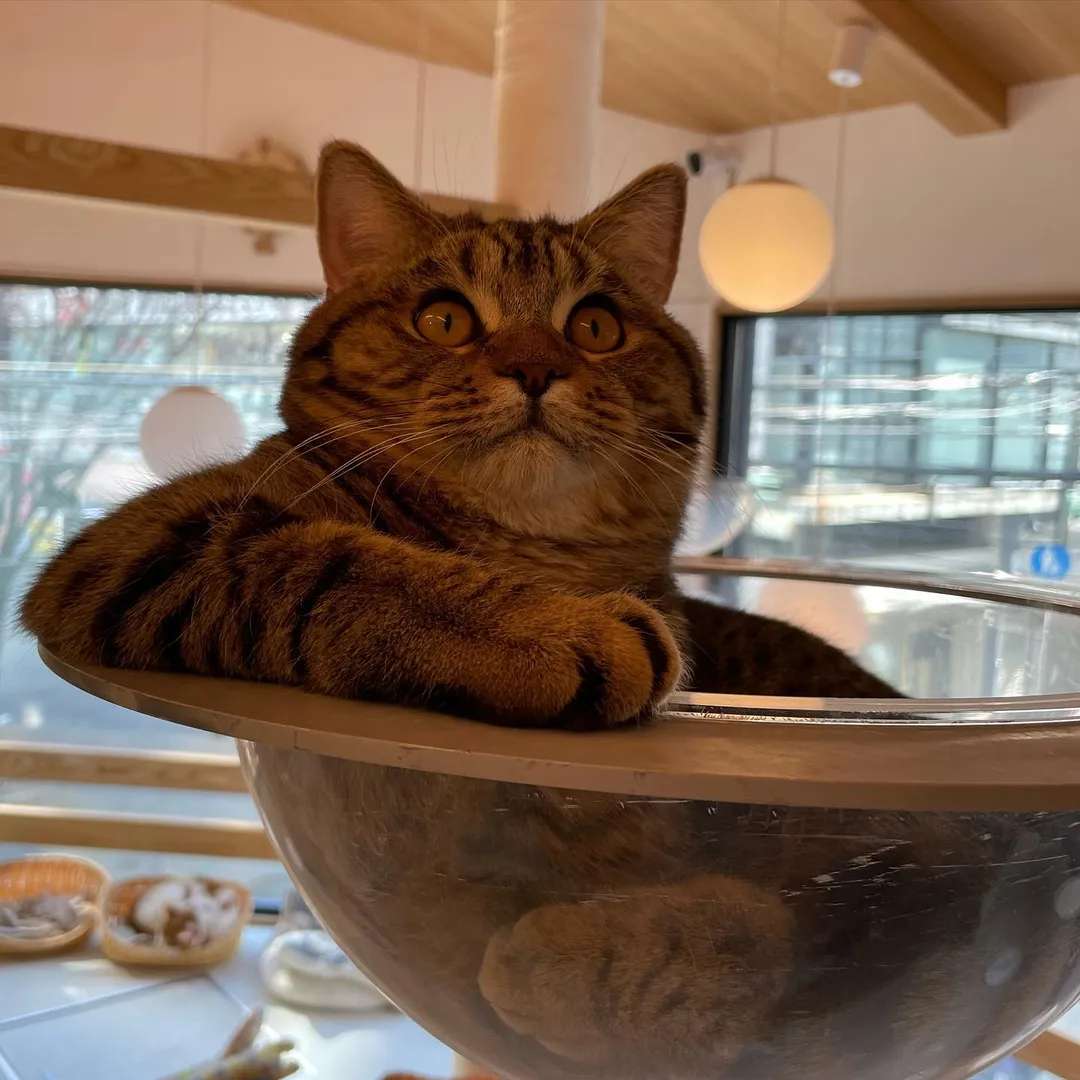 投稿の写真3