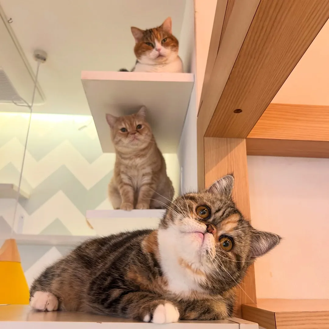 投稿の写真