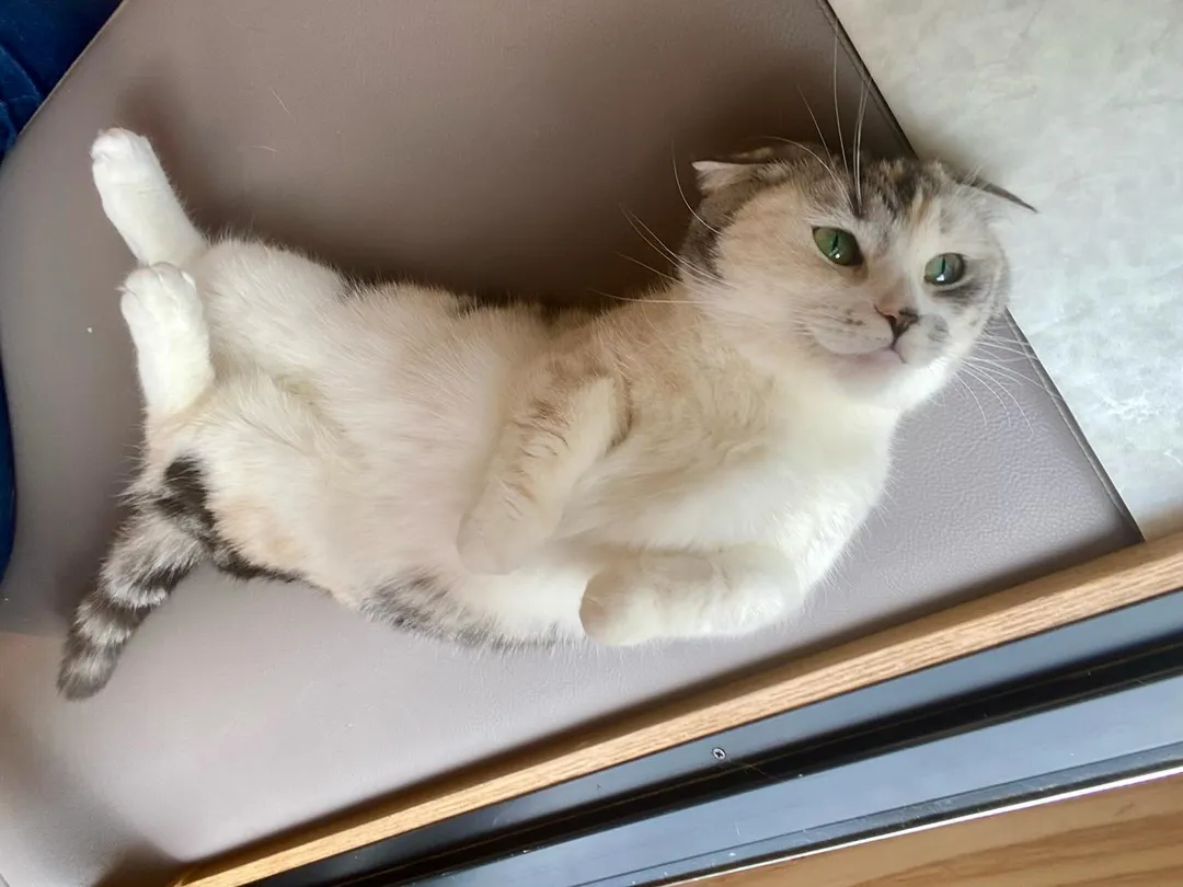 投稿の写真2