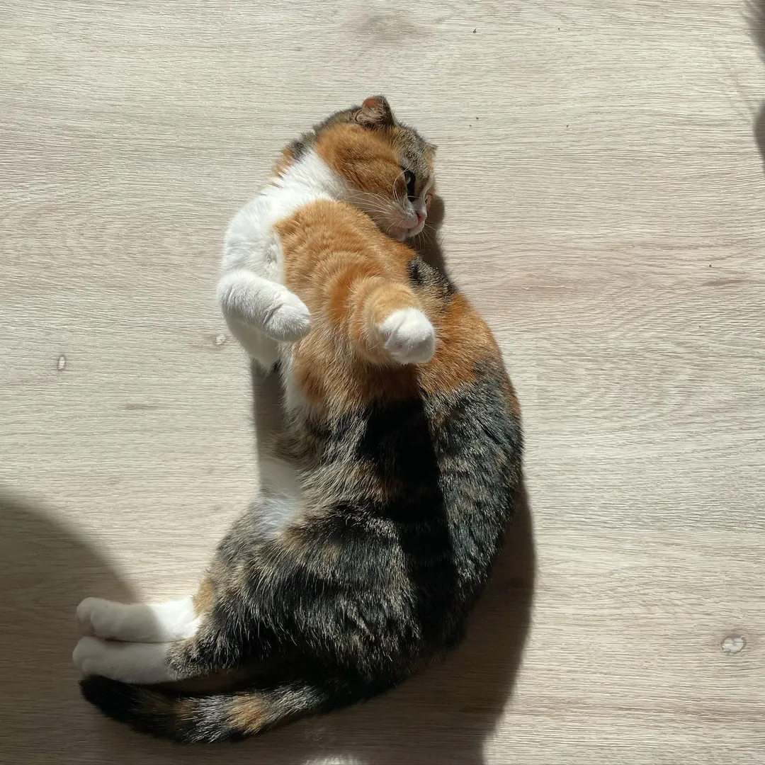 投稿の写真2