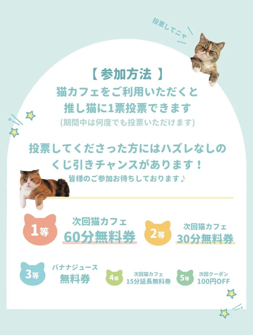投稿の写真2