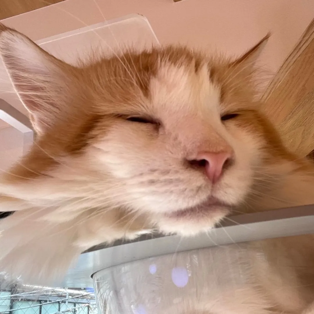 投稿の写真4