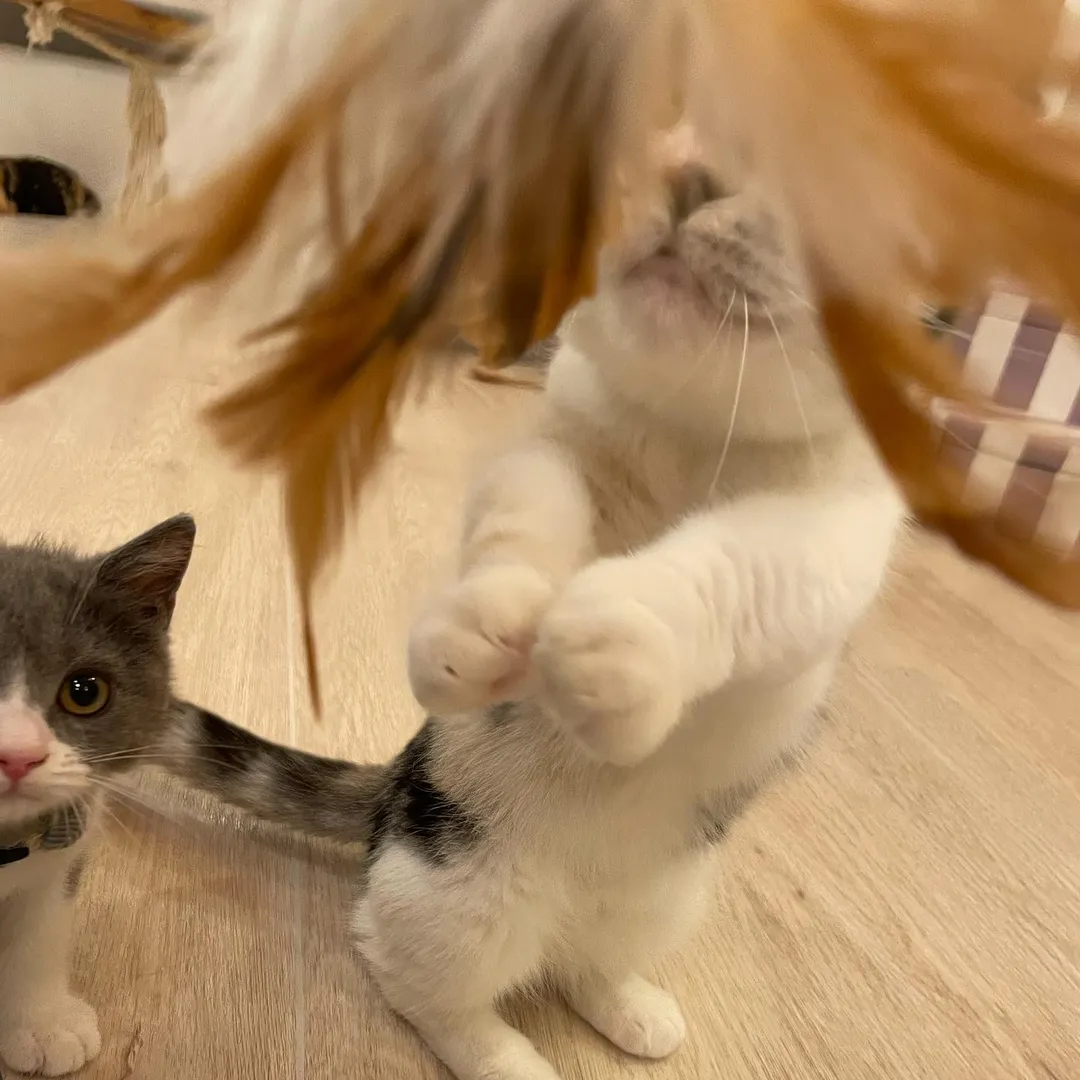 投稿の写真1