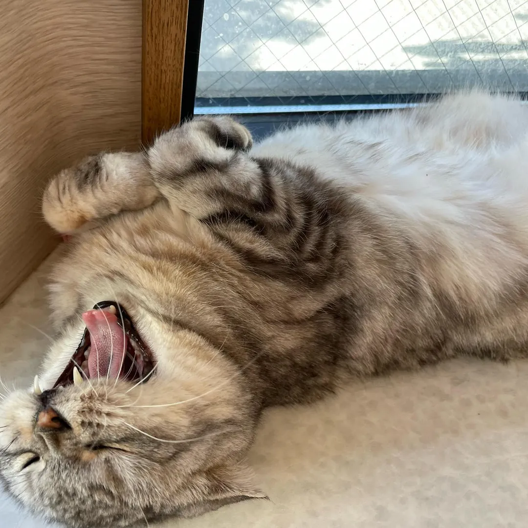 投稿の写真2