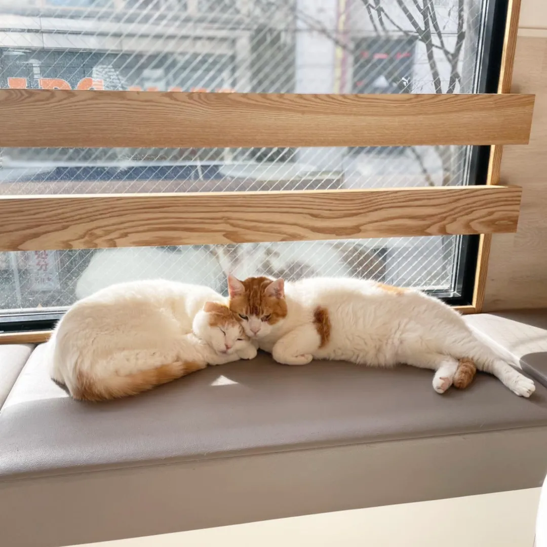 投稿の写真3
