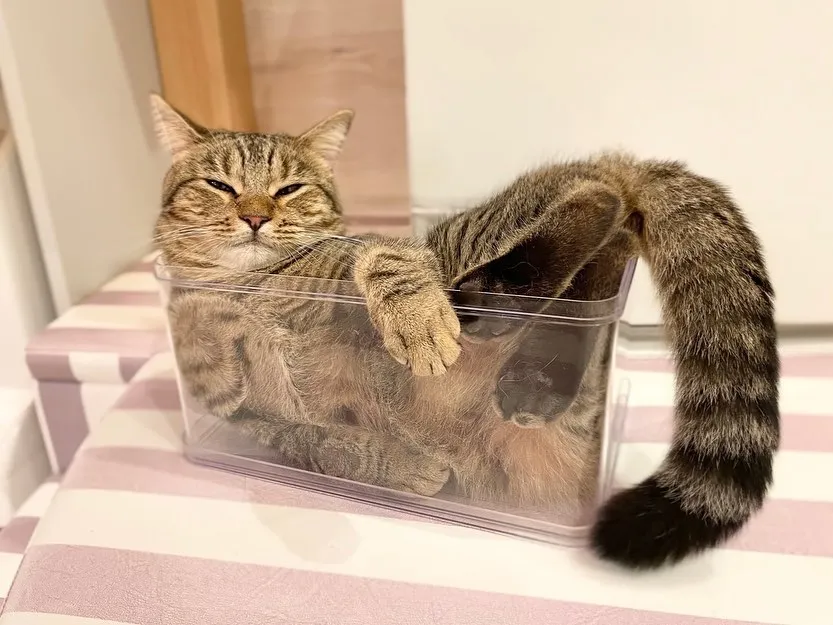投稿の写真2