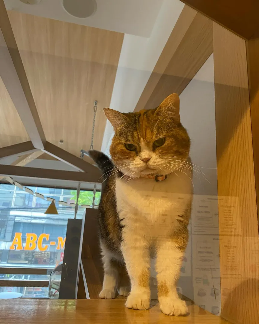 投稿の写真