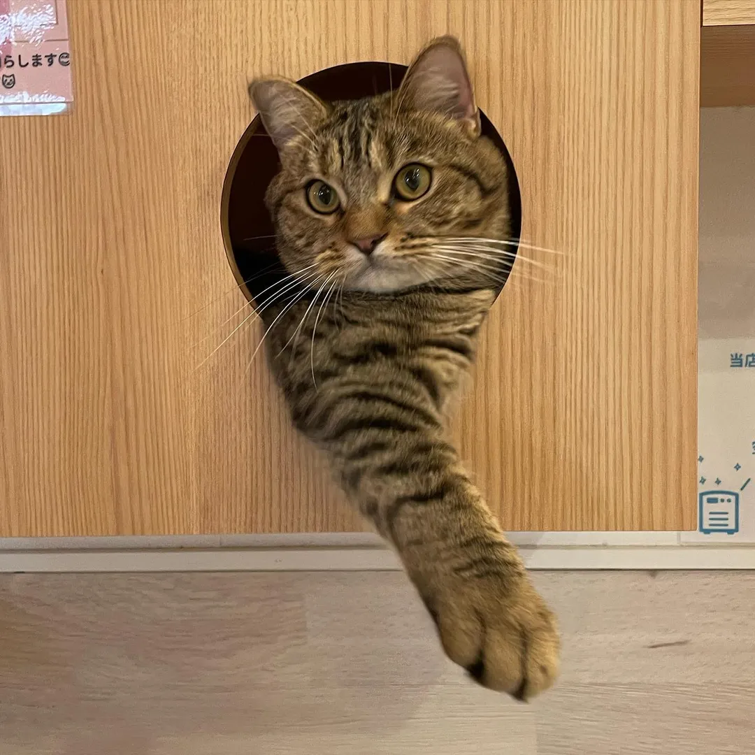 投稿の写真3