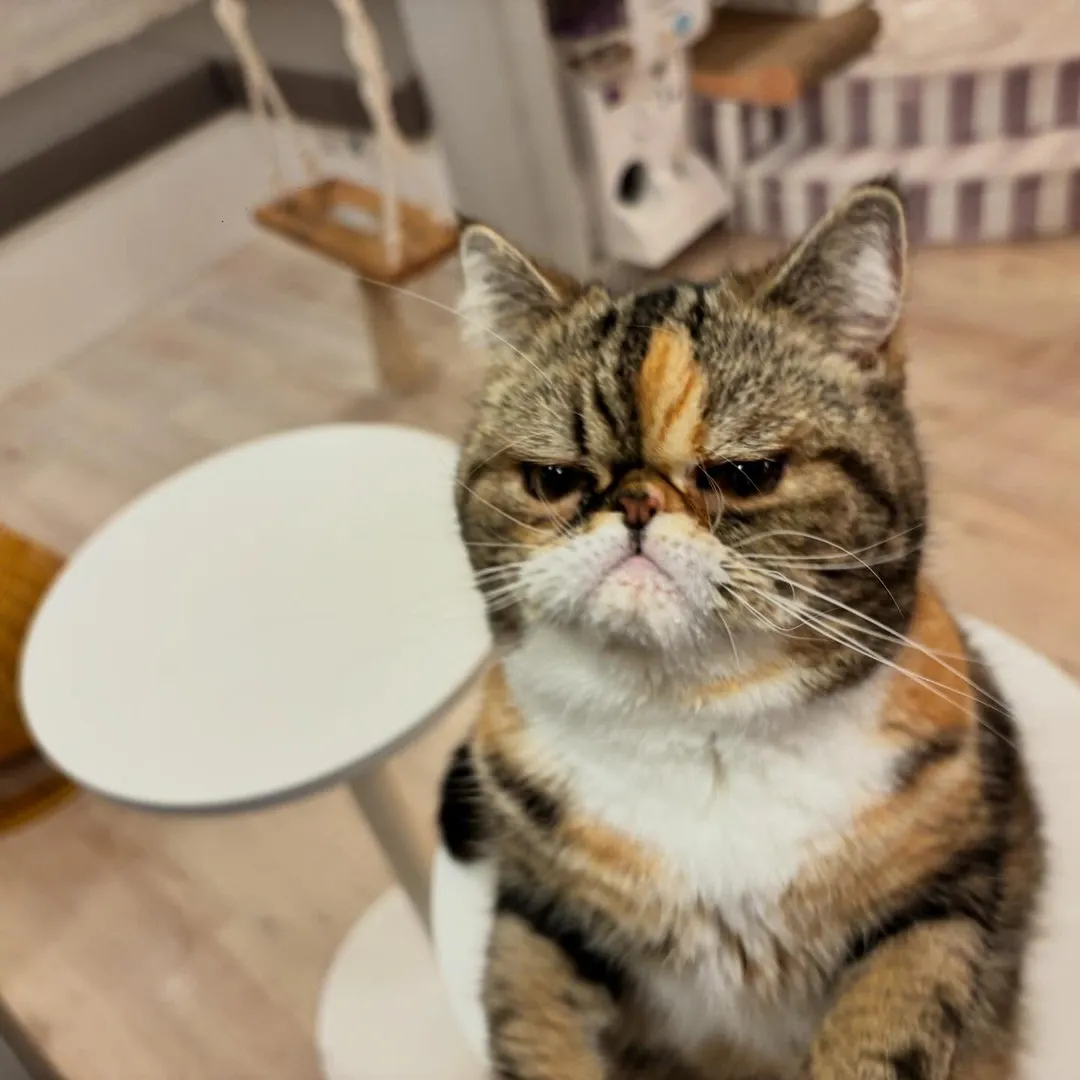 投稿の写真5