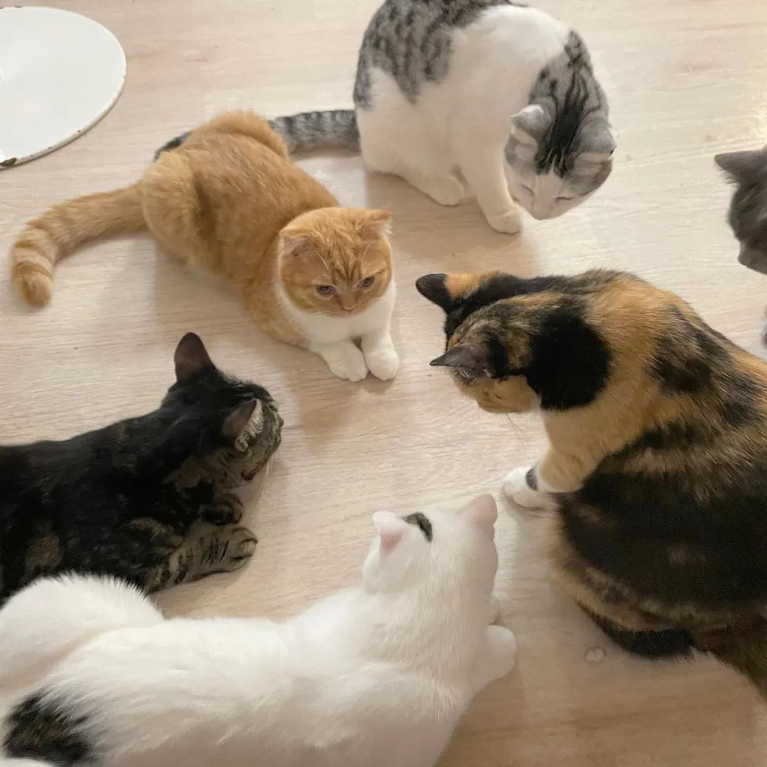 投稿の写真2