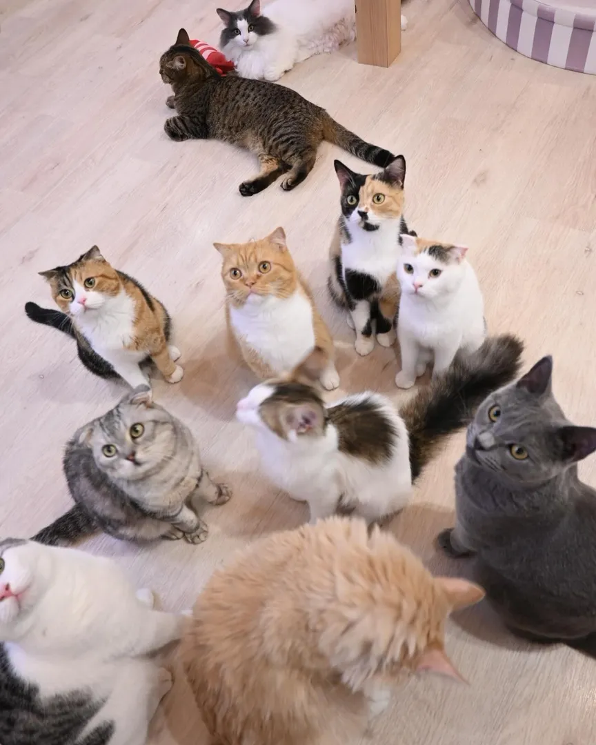 投稿の写真2