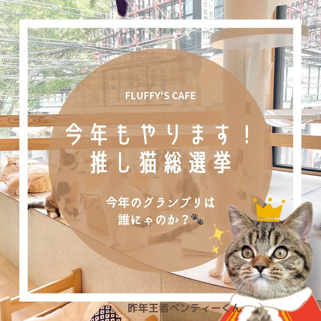 投稿の写真