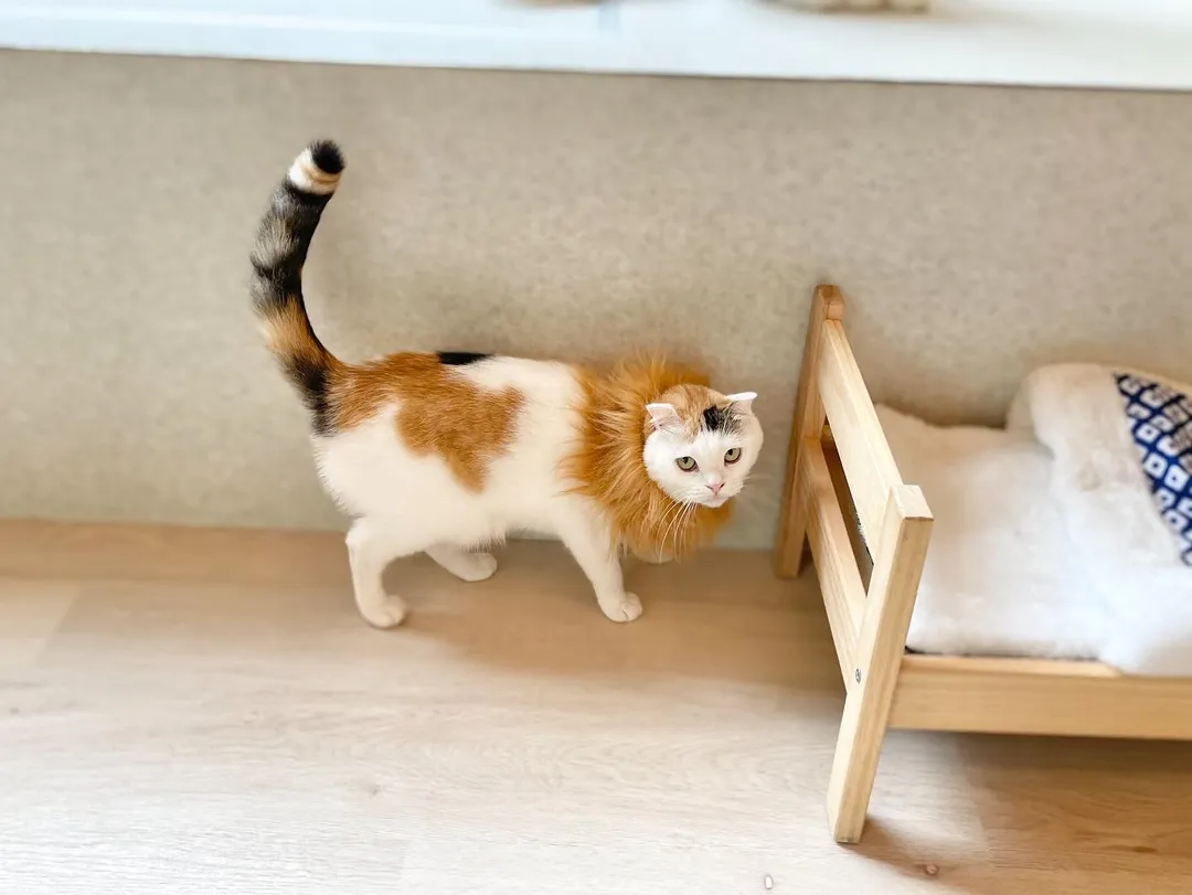 投稿の写真3